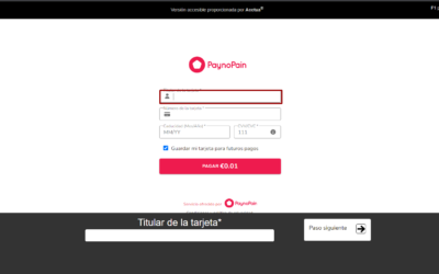 Accesit Inclusivo y PaynoPain crean una plataforma de pago por internet accesible «para todas las personas, sea cual sea su discapacidad»