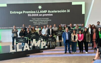 Accesit Inclusivo, company with the Greatest Social Impact in the LLAMP 3i awards